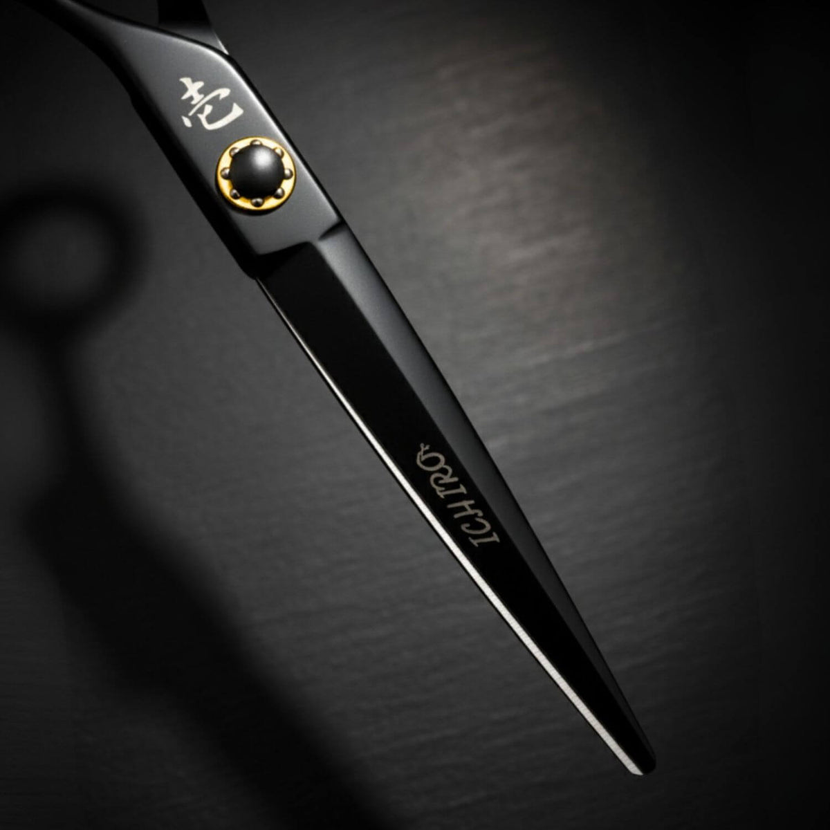 Ensemble de Ciseaux Ichiro Noir Mat