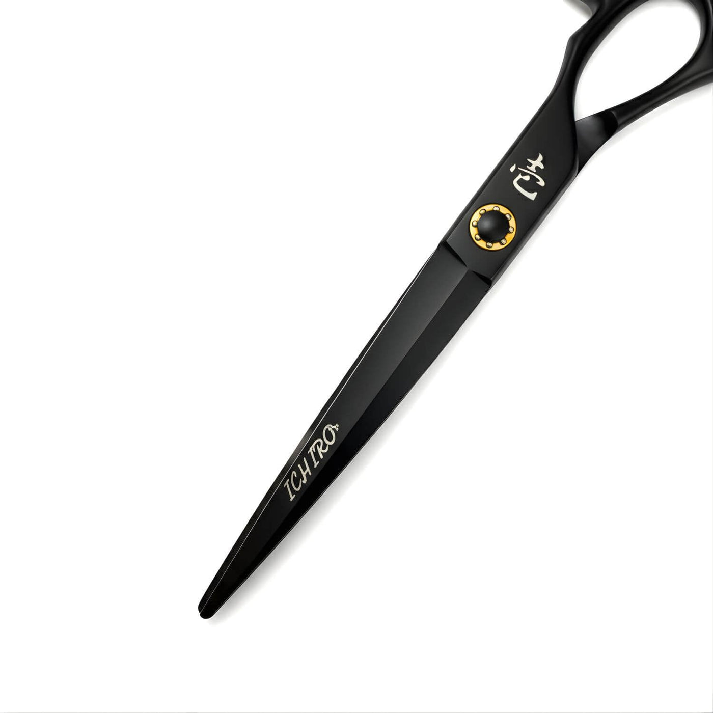 Ciseaux de Coupe Ichiro Noir Mat