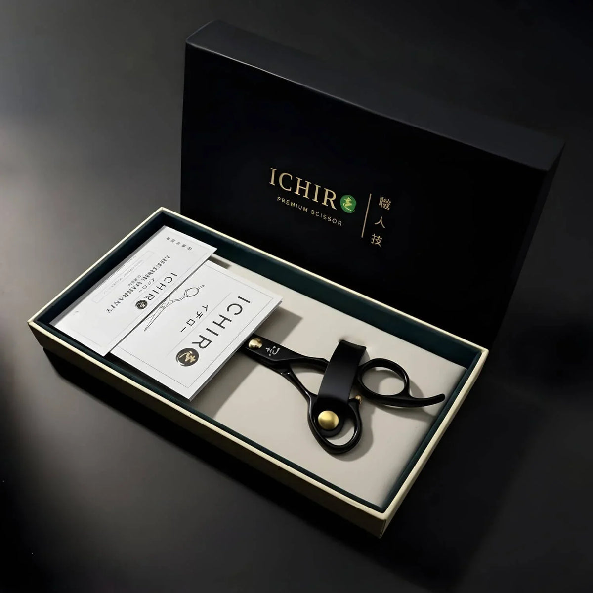 Coffret Maître Ichiro Ergo