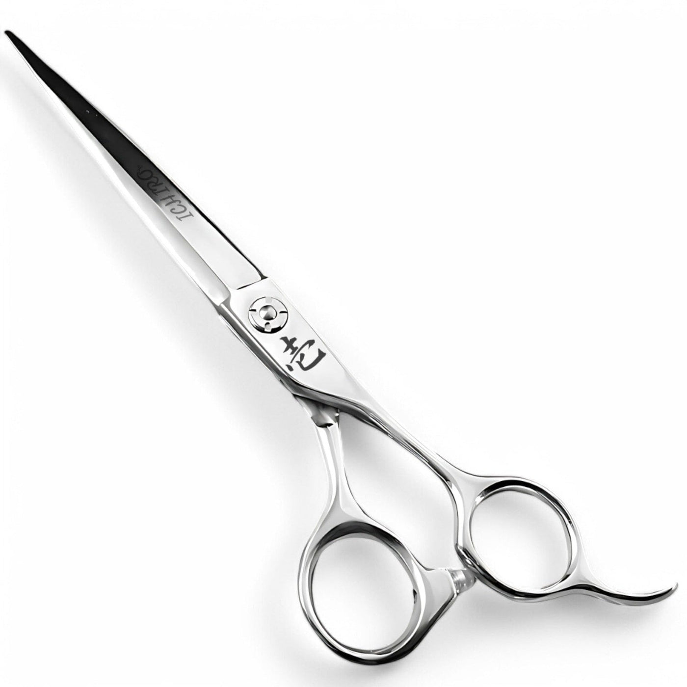 Ciseaux de Coupe Ichiro Precision Master