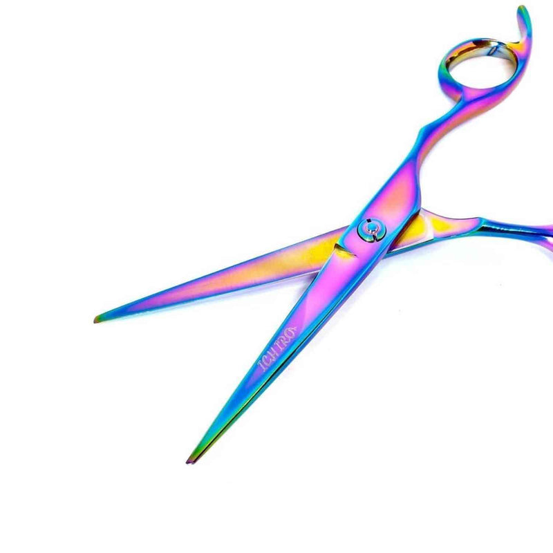 Ciseaux de Coupe Ichiro Arc-en-ciel