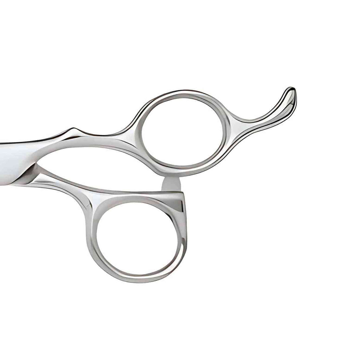 Ensemble de Ciseaux Cobalt Apex Juntetsu — Coupe & Sculpteurs