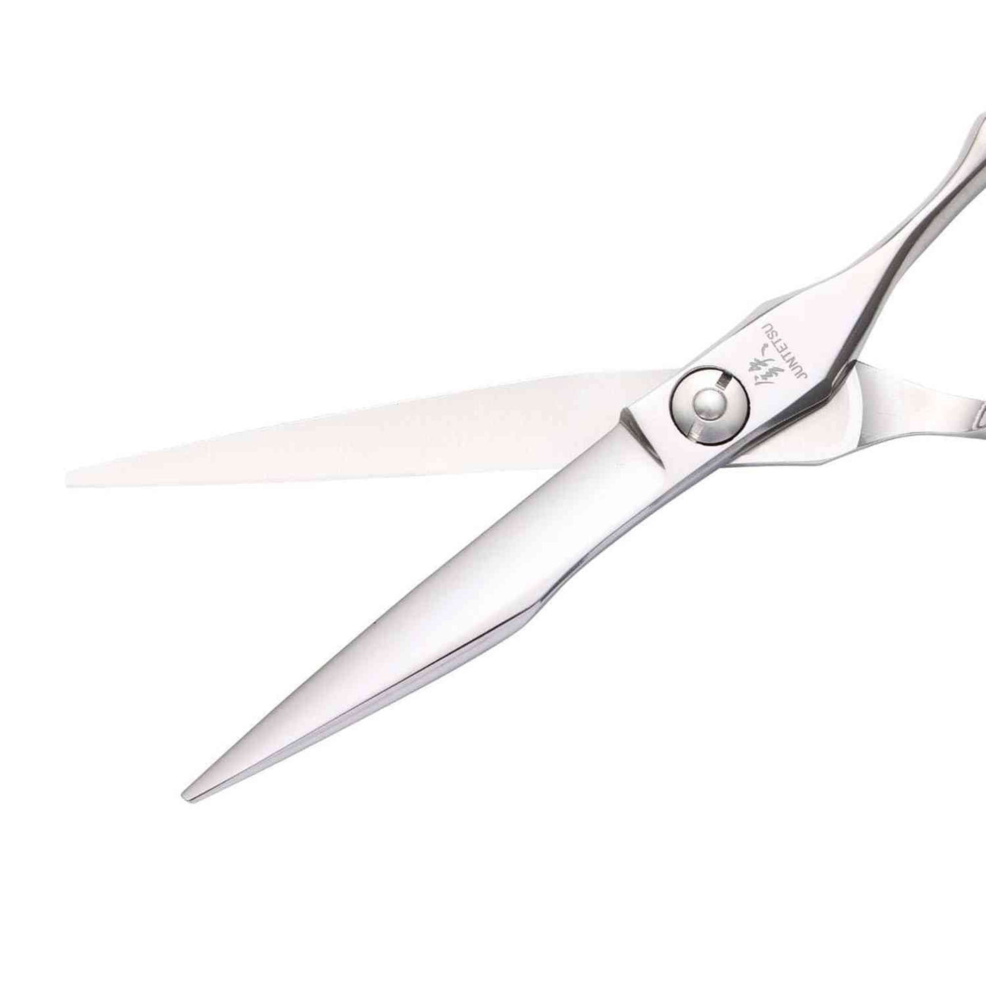 Ciseaux de Coupe Precision Juntetsu VG10
