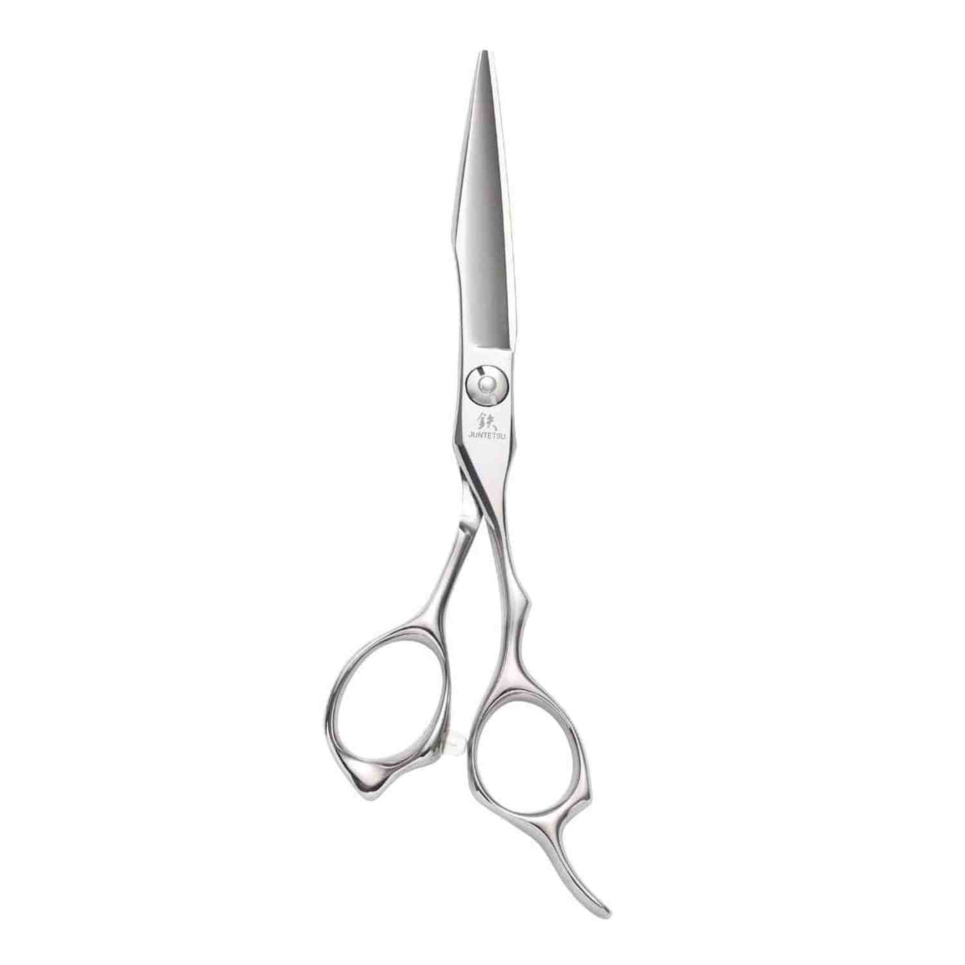 Ciseaux de Coupe Precision Juntetsu VG10